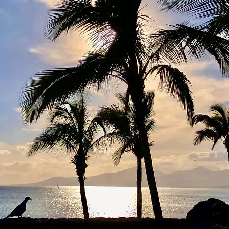 Casita Chao Atalaya *